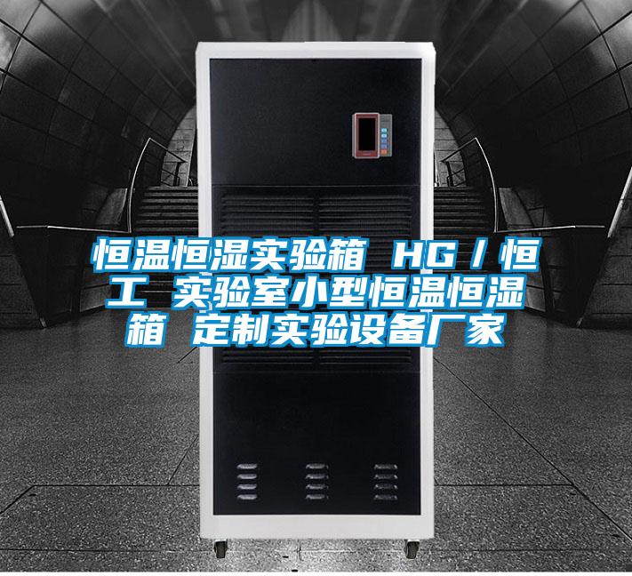 恒溫恒濕實驗箱 HG/恒工 實驗室小型恒溫恒濕箱 定制實驗設備廠家