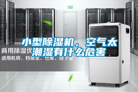 小型除濕機(jī),空氣太潮濕有什么危害
