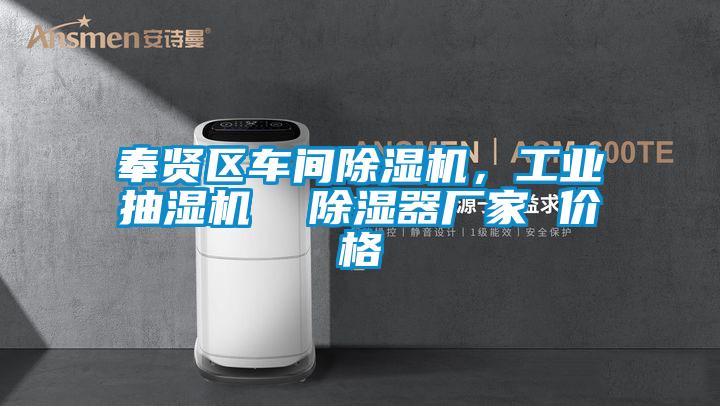 奉賢區(qū)車間除濕機,工業(yè)抽濕機 除濕器廠家 價格