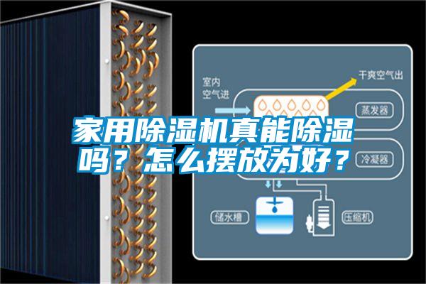 家用除濕機真能除濕嗎?怎么擺放為好?