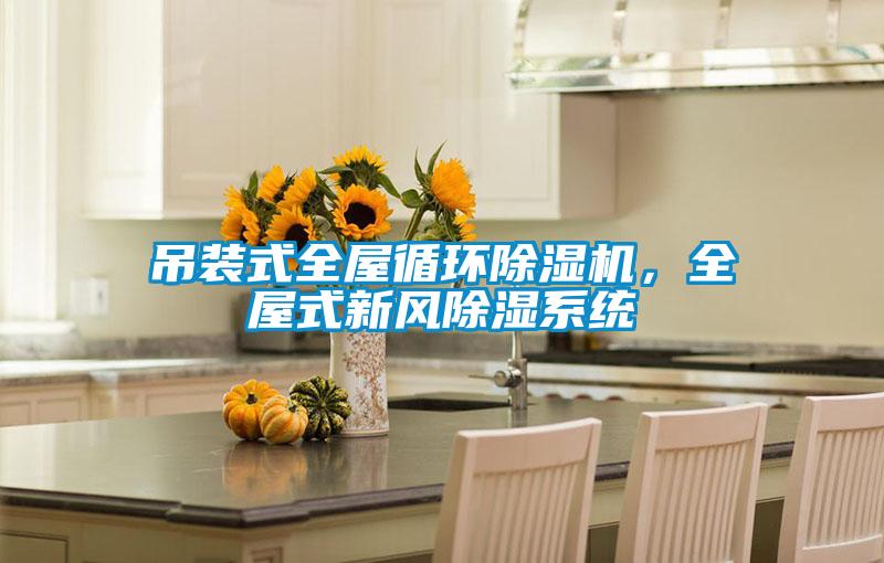 吊裝式全屋循環除濕機,全屋式新風除濕系統