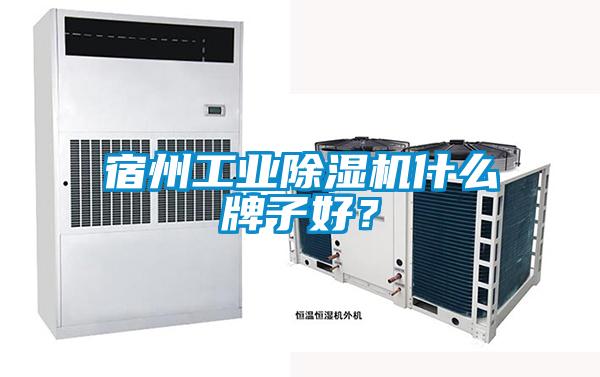 宿州工業除濕機什么牌子好?