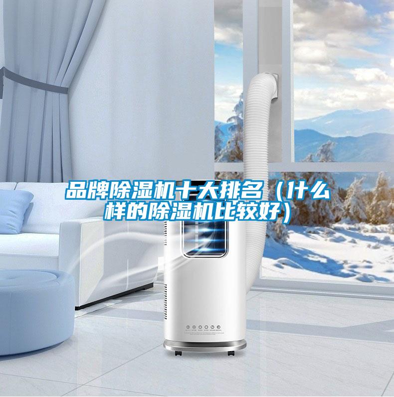 品牌除濕機十大排名(什么樣的除濕機比較好)