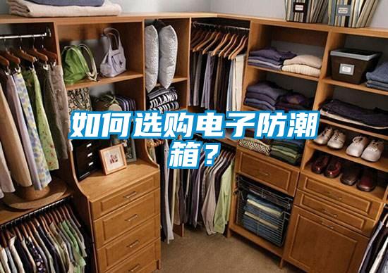 如何選購電子防潮箱?
