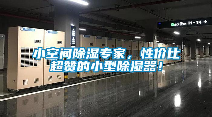 小空間除濕專家,性價比超贊的小型除濕器!