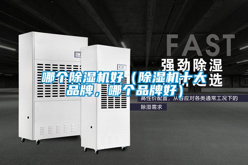哪個除濕機好(除濕機十大品牌,哪個品牌好)