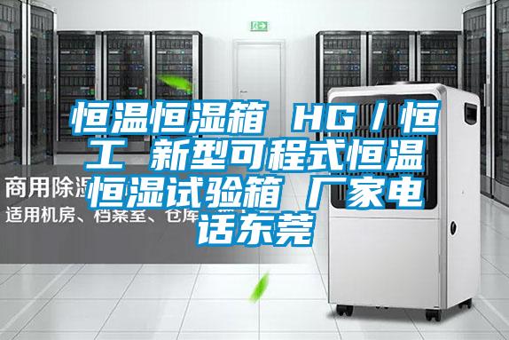 恒溫恒濕箱 HG/恒工 新型可程式恒溫恒濕試驗(yàn)箱 廠家電話東莞