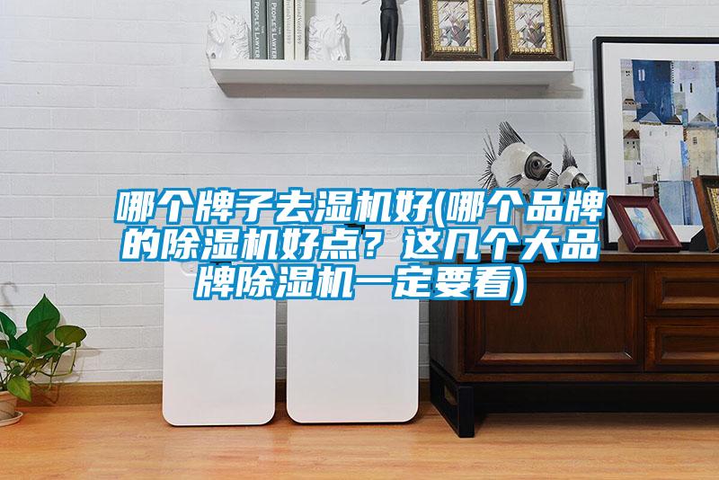 哪個牌子去濕機好(哪個品牌的除濕機好點?這幾個大品牌除濕機一定要看)