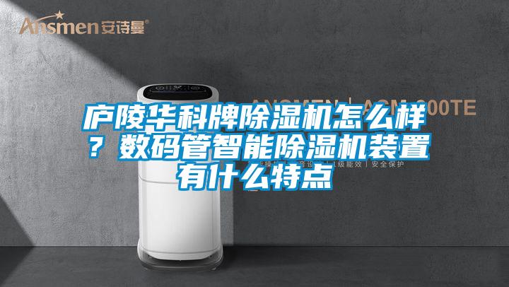 廬陵華科牌除濕機怎么樣?數碼管智能除濕機裝置有什么特點