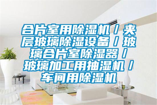 合片室用除濕機(jī)/夾層玻璃除濕設(shè)備/玻璃合片室除濕器/玻璃加工用抽濕機(jī)/車間用除濕機(jī)