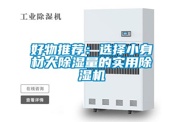 好物推薦:選擇小身材大除濕量的實用除濕機