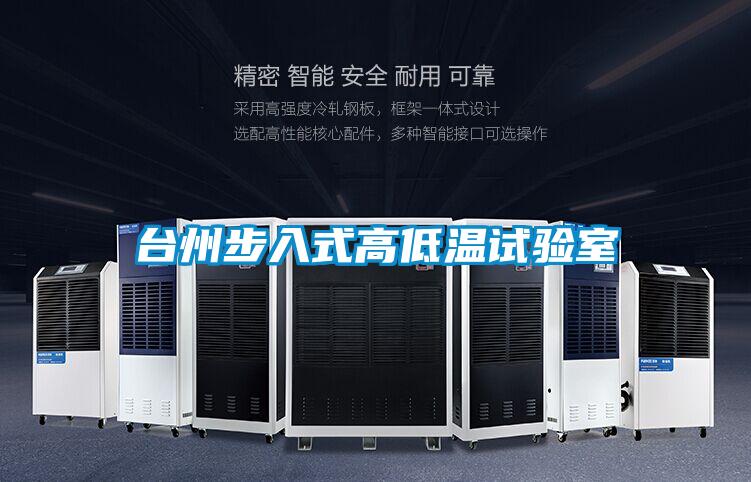 臺州步入式高低溫試驗室