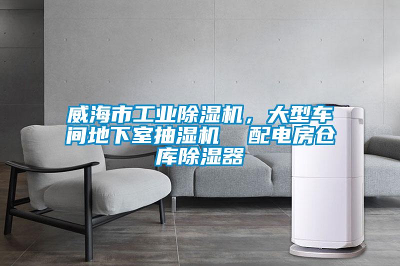 威海市工業(yè)除濕機,大型車間地下室抽濕機 配電房倉庫除濕器