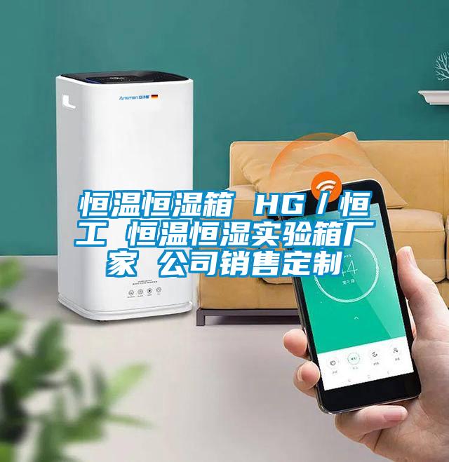 恒溫恒濕箱 HG/恒工 恒溫恒濕實驗箱廠家 公司銷售定制