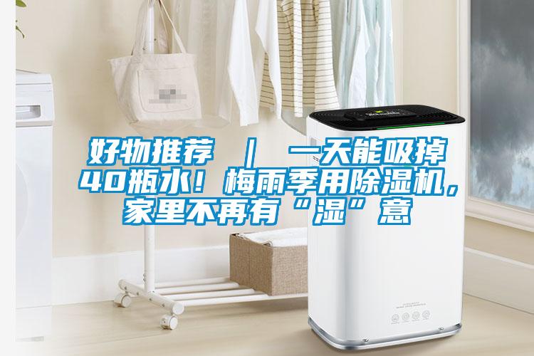 好物推薦 | 一天能吸掉40瓶水!梅雨季用除濕機,家里不再有“濕”意