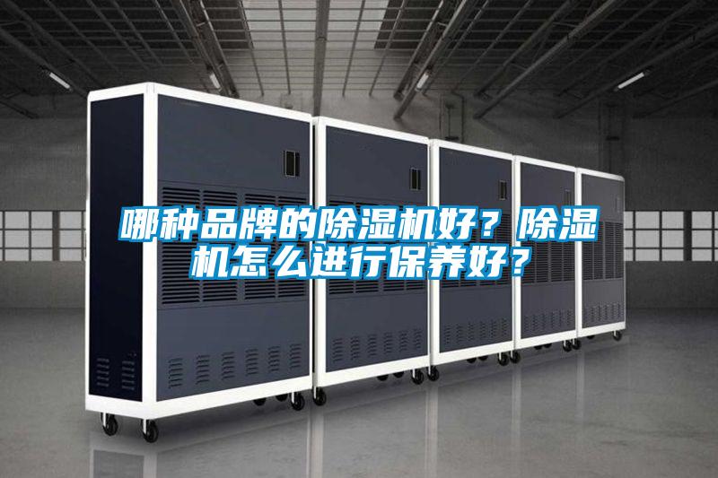 哪種品牌的除濕機好?除濕機怎么進(jìn)行保養(yǎng)好?