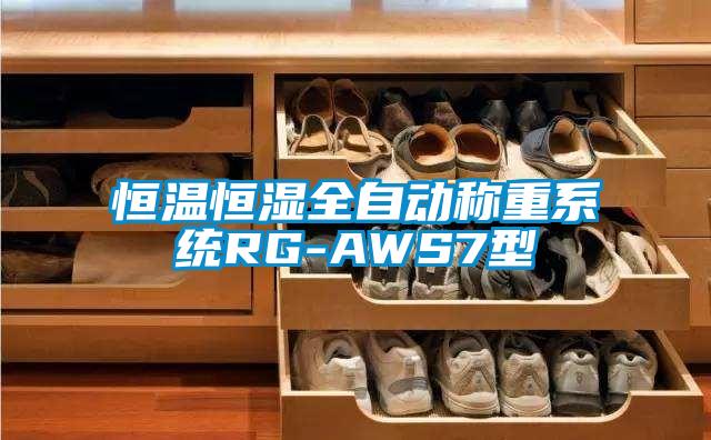 恒溫恒濕全自動稱重系統RG-AWS7型