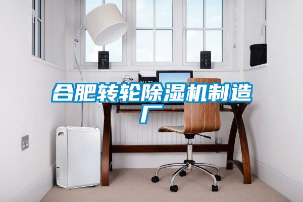 合肥轉(zhuǎn)輪除濕機(jī)制造廠