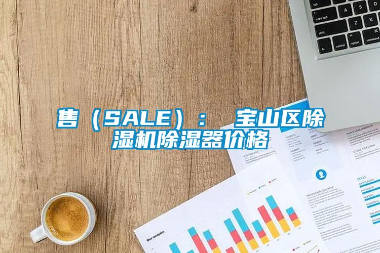 售(SALE): 寶山區除濕機除濕器價格