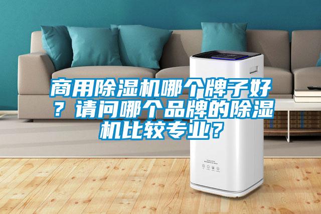 商用除濕機哪個牌子好?請問哪個品牌的除濕機比較專業(yè)?