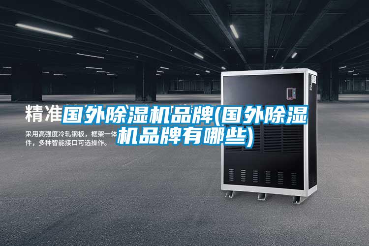 國外除濕機(jī)品牌(國外除濕機(jī)品牌有哪些)