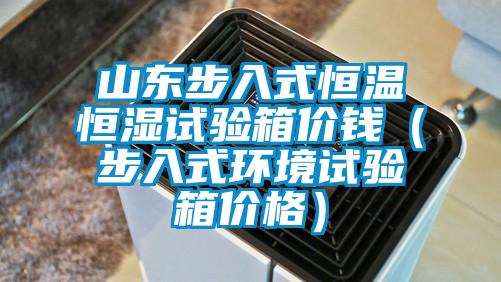 山東步入式恒溫恒濕試驗箱價錢(步入式環境試驗箱價格)