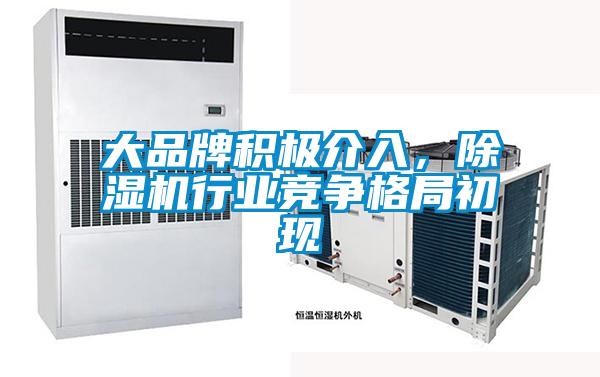 大品牌積極介入,除濕機行業(yè)競爭格局初現(xiàn)