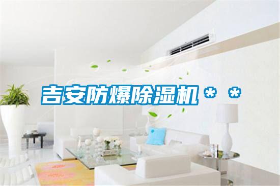 吉安防爆除濕機**