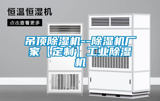 吊頂除濕機--除濕機廠家【定制】工業除濕機