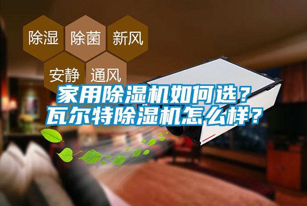 家用除濕機如何選?瓦爾特除濕機怎么樣?