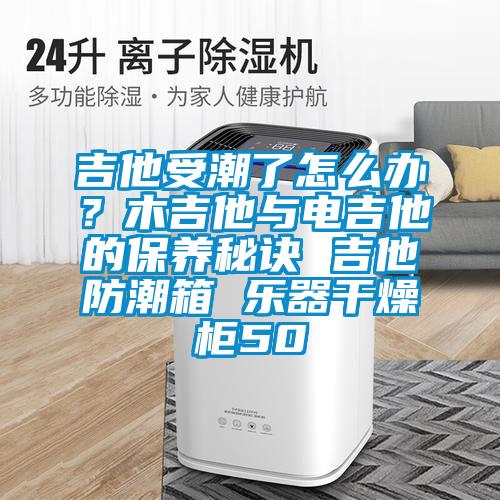 吉他受潮了怎么辦？木吉他與電吉他的保養秘訣 吉他防潮箱 樂器干燥柜50