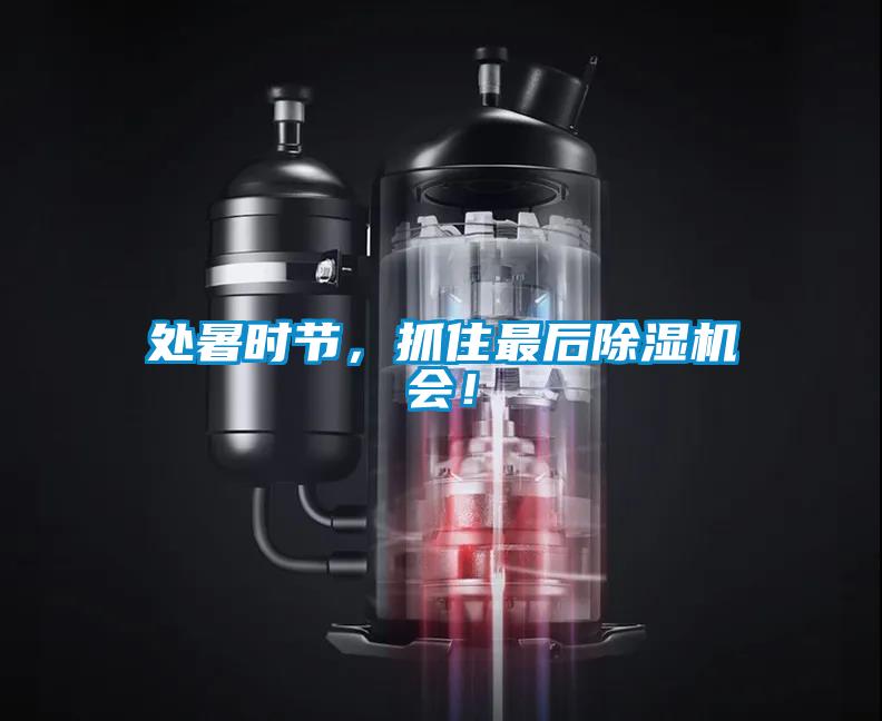 處暑時節，抓住最后除濕機會！