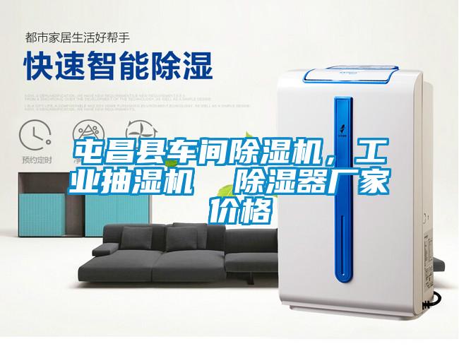 屯昌縣車間除濕機,工業抽濕機 除濕器廠家 價格