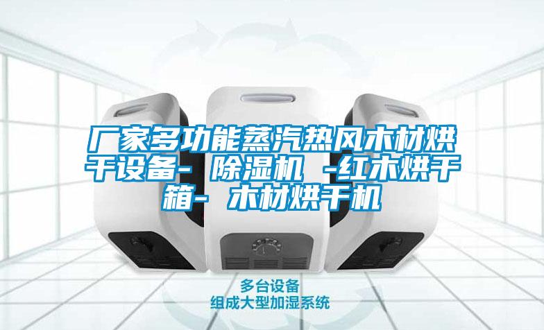 廠家多功能蒸汽熱風木材烘干設備- 除濕機 -紅木烘干箱- 木材烘干機