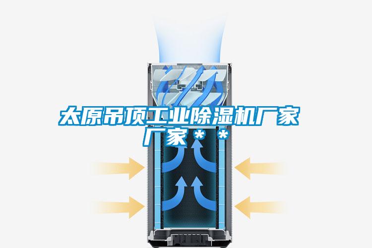 太原吊頂工業(yè)除濕機廠家 廠家**