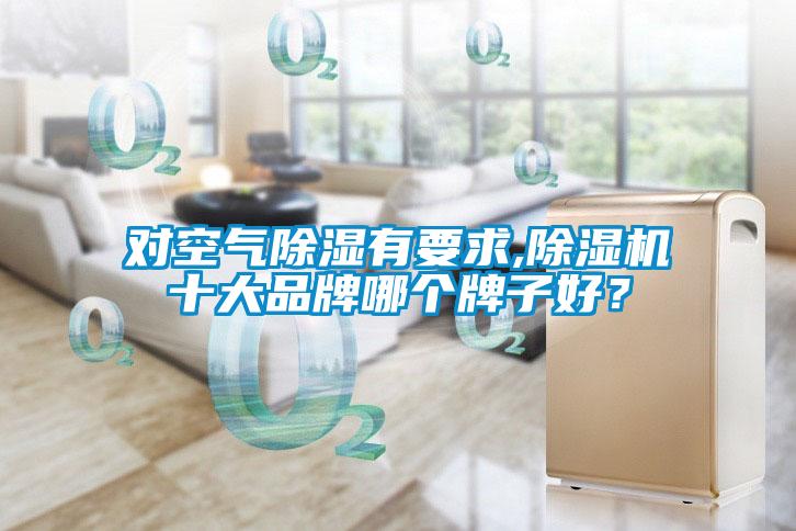 對空氣除濕有要求,除濕機十大品牌哪個牌子好?