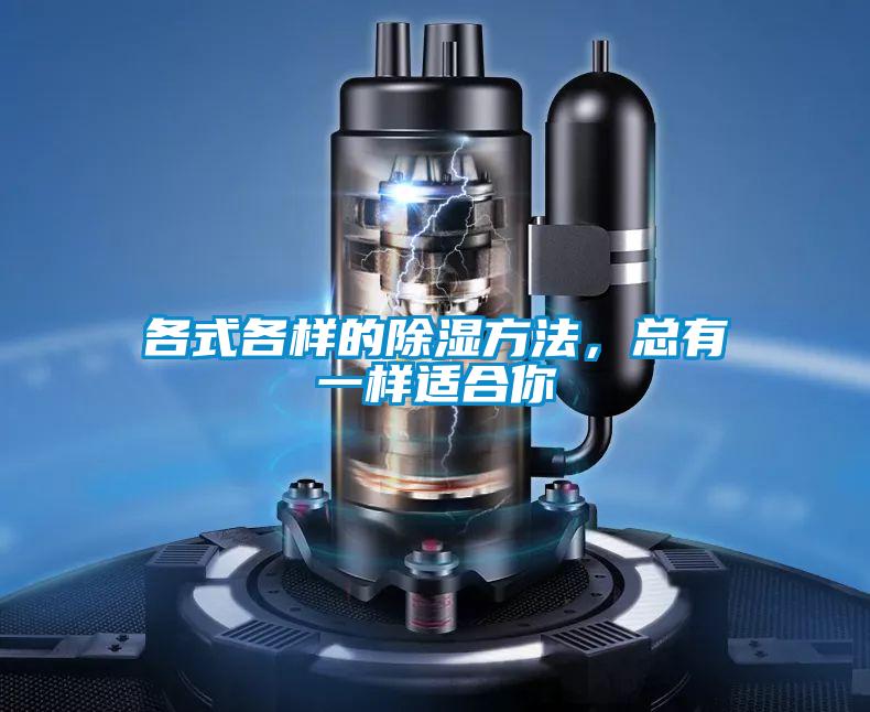 各式各樣的除濕方法,總有一樣適合你