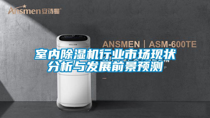 室內(nèi)除濕機(jī)行業(yè)市場現(xiàn)狀分析與發(fā)展前景預(yù)測