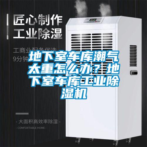 地下室車庫潮氣太重怎么辦?地下室車庫工業除濕機