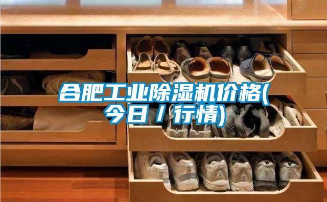合肥工業除濕機價格(今日/行情)