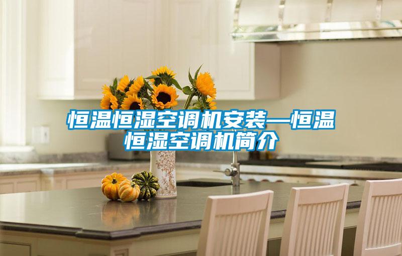 恒溫恒濕空調(diào)機安裝—恒溫恒濕空調(diào)機簡介