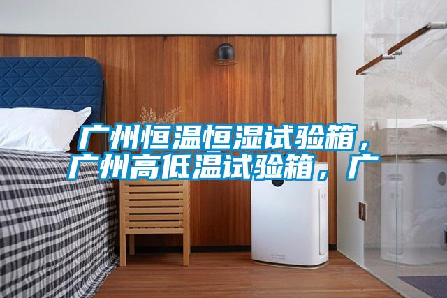 廣州恒溫恒濕試驗箱,廣州高低溫試驗箱,廣