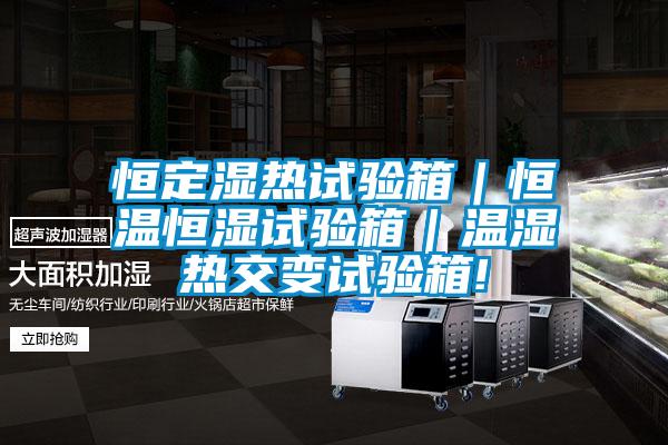 恒定濕熱試驗箱|恒溫恒濕試驗箱|溫濕熱交變試驗箱!