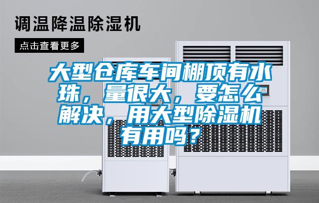 大型倉庫車間棚頂有水珠,量很大,要怎么解決,用大型除濕機有用嗎?