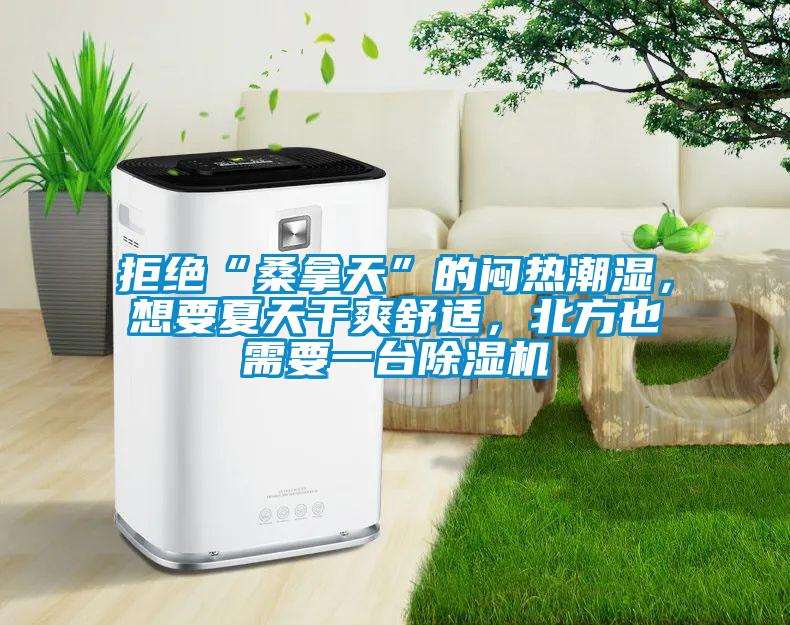 拒絕“桑拿天”的悶熱潮濕,想要夏天干爽舒適,北方也需要一臺除濕機