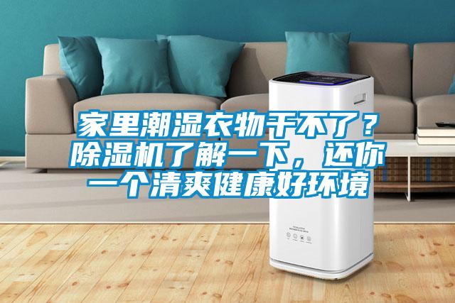 家里潮濕衣物干不了?除濕機了解一下,還你一個清爽健康好環境