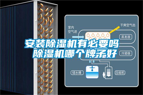 安裝除濕機有必要嗎 除濕機哪個牌子好