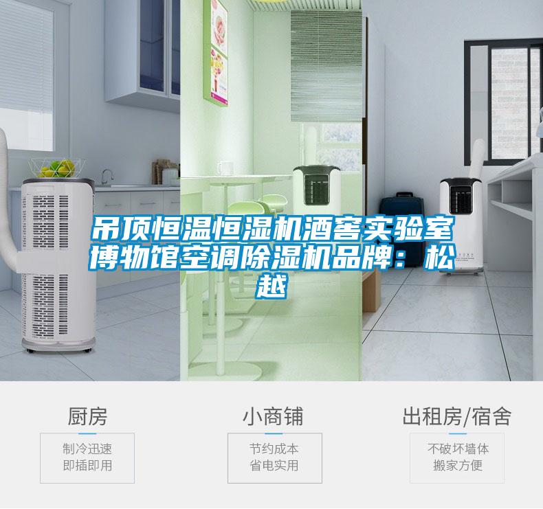 吊頂恒溫恒濕機酒窖實驗室博物館空調除濕機品牌:松越