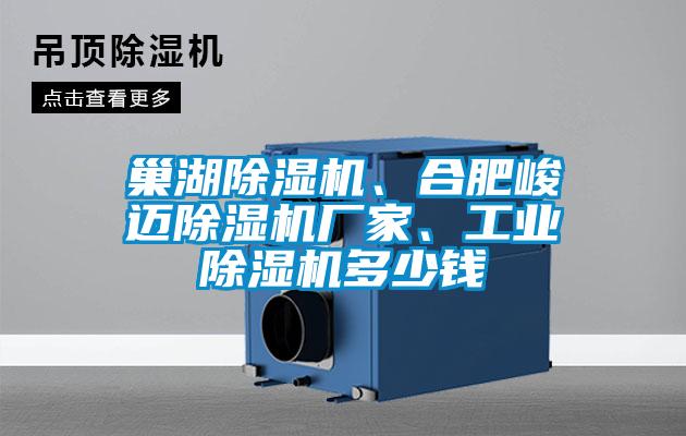 巢湖除濕機(jī)、合肥峻邁除濕機(jī)廠家、工業(yè)除濕機(jī)多少錢