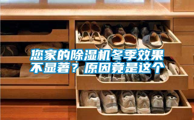 您家的除濕機冬季效果不顯著?原因竟是這個